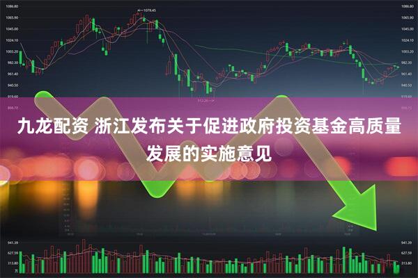 九龙配资 浙江发布关于促进政府投资基金高质量发展的实施意见