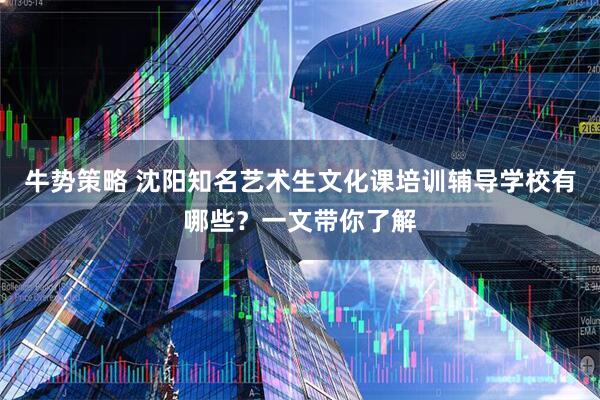 牛势策略 沈阳知名艺术生文化课培训辅导学校有哪些？一文带你了解