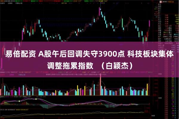 易倍配资 A股午后回调失守3900点 科技板块集体调整拖累指数  （白颖杰）