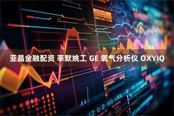 亚晶金融配资 莘默姚工 GE 氧气分析仪 OXYIQ